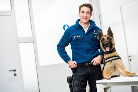 Complete tinne oltmans 2017 biography. Koen Van De Buurtpolitie Alsmaar Populairder Ja Sommige Het Nieuwsblad Mobile