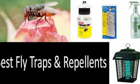 Fruit flies multiply fast, so removing breeding sites is the best way to get rid of them. The Best Fly Killers A Review Of The Best Traps Repellents In 2021
