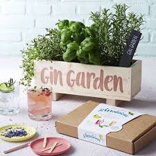 Gin Botanical Cocktail Garden Kit Gin Geschenke Gin Gin Tonic Geschenke