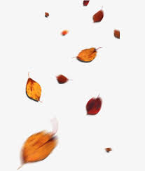 الملايين من png الصور والخلفيات والمتجهات للتحميل مجانا pngtree fall leaves png autumn leaves abstract artwork
