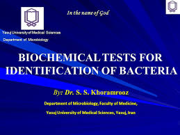 Biochemical Tests For Identification Of Bacteria Ppt Video
