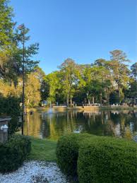 We did not find results for: Hilton Head Island Motorcoach Resort Photos Rv Parking