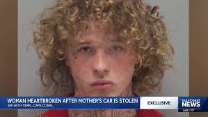 Cape Coral man arrested, accused of high-speed crash in stolen BMW