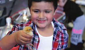 A STRUGGLE FOR SCHOOLS