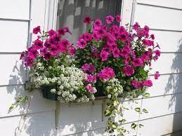 Pin On Home Landscaping Garden