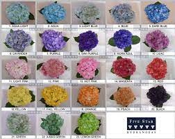 Hydrangea Color Chart Hydrangea Colors Hydrangea Flower Hydrangea