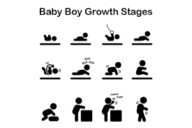 Baby Growth Progress Margarethaydon Com