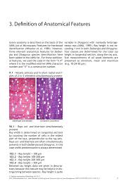 Image result for Dalbergia bracteolata