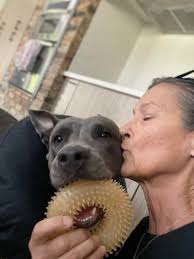 Some positive thoughts for my girl (& me!) would be much appreciated 💖  After her brother had a reaction to his neuter surgery & had to be rushed  back into the vets