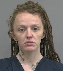 More than a dozen squatters are arrested for living in a Florida motel that  was being turned into a homeless shelter