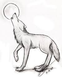 A Drawing Of A Wolf Simple Drawing Of A Wolf Easy Drawings Wolves Pic Wolf Sketch Pencil Drawings Of Animals Art Drawings Sketches Simple
