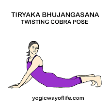 Tiryaka Bhujangasana Twisting Cobra Pose Cobra Pose Yoga Poses Yoga Asanas