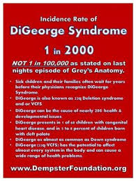 18 22q Ideas 22q Digeorge Syndrome 22q Deletion