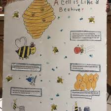 We did not find results for: Student Art Of Science Contest Little Shop Of Physics Csu