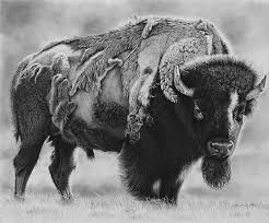 Great Plains Drifter Western Artwork Art Wildlife Art