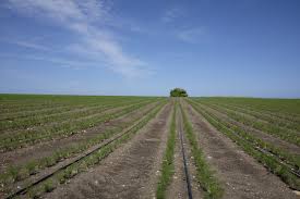 Banca dati de agostini professionale s.p.a., leggi d'italia. Dall Agenzia Delle Entrate L Aggiornamento Della Banca Dati Catastale