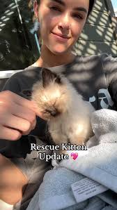 Who WON?! 🥇 ⠀⠀⠀⠀⠀⠀⠀⠀⠀⠀⠀⠀ #makeup #lipcombo #liptutorial #beauty #lippies  #lipcombos #makeuptutorial #makeuptransformation #makeupreview #mua  #makeuptipsandtricks #makeuphacks