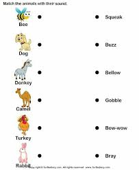 Pin By Sangita Chhetri On Evs In 2020 Kindergarten Worksheets Animal Sounds Pattern Worksheets For Kindergarten