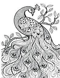 Patterns inspired by vintage tapestry, with several insects hidden in the branches and foliage. 30 Totally Awesome Free Adult Coloring Pages The Quiet Grove