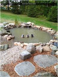 Backyard Duck Pond 2021 Backyard Ducks Duck Pond Ponds Backyard