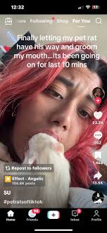 I've seen people post about ratty box. Where do I sign up for my girls?