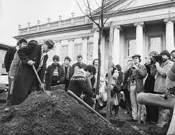 By a quite simple conceptual gesture the artist managed to use the power of art discourse and action to activate an environmental concern that has grown ever since. Joseph Beuys The Art Of Arboriculture Awa Trees
