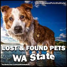 We would be honored to be a partner in your pet's healthcare team. The Pet Doctor Home Facebook