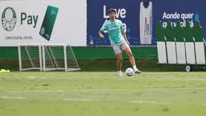 Palmeiras inicia preparação para confronto com Cerro Porteño-PAR pela Libertadores