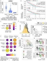 Loss Of Parkinson S Susceptibility Gene Lrrk2 Promotes Carcinogen Induced Lung Tumorigenesis Scientific Reports