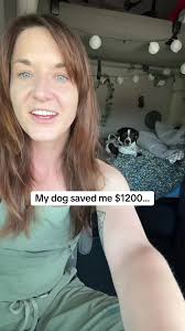 Barbie Update: Heartwarming Mama Dog Rescues Puppies