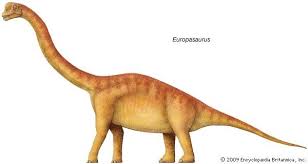 Ghdx entry last modified on: Europasaurus Dinosaur Prehistoric Animals Dinosaur Animals