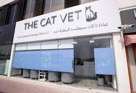 *the cat clinic is a branch of the animal clinic pte ltd. The Cat Vet In Dubai Inside The Uae S First Feline Only Clinic The National