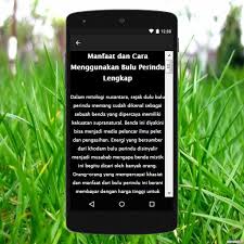 Cara mengetahui bulu perindu asli atau palsu ada 5. Ilmu Pelet Bulu Perindu Pemikat Lengkap For Android Apk Download