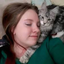 This man surprised his wife with a Maine Coon kitten