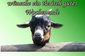 Wochenendgrüße schönes wochenende lustig gif ribhot v2. Schones Wochenende Gifs 120 Frei Animierte Bilder