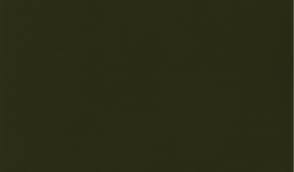 This dark olive blender has darker olive small random dots covering it. Fabrics Renard Dark Olive 37