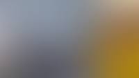 VRT - News update