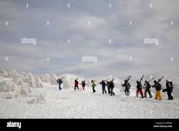 Image result for Hakkoda Walk