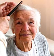 The Mechanicsville-Ashland Local