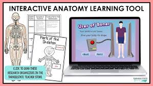 Games and activities for english classes. Best Websites For Teaching Human Body Systems Tarheelstate Teacher