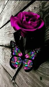 Search free wallpapers, ringtones and notifications on zedge and personalize your phone to suit you. Pin On Phone Backgrounds