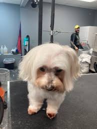 Progressing as a bather in the salon