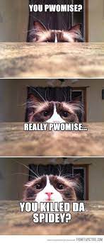 The Funniest Websites Pages In The World Wdb Es Funny Cat Pictures Funny Dog Pictures Cute Funny Animals