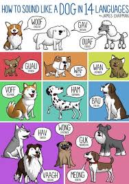 Bau Bau Animal Sounds Dog Sounds James Chapman