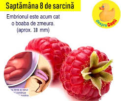 Va este din ce in ce mai greu sa va gasiti haine pe masura. Saptamana 8 De SarcinÄ Acum Se FormeazÄ Dintii Èi Cerul Gurii BebeluÈului Video Desprecopii Com