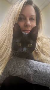 Found stray cat near Cracker Barrel Smokey Park Hwy