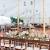 Farm Wedding Reception