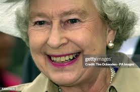 353 Sussex Cattle Stock Photos, High-Res Pictures, and Images