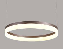 Oddfrid Contemporary Geometric Chic Golden Circle Pendant Light Light Atelier