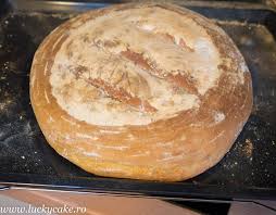 Paine De Casa Recipe With Images Paine Cuptor Rețete